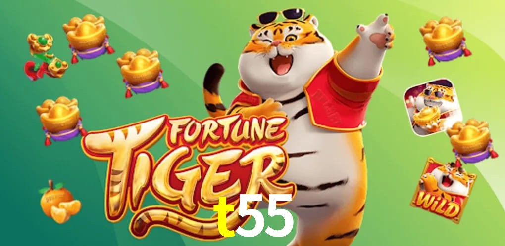 Experiência VIP t55